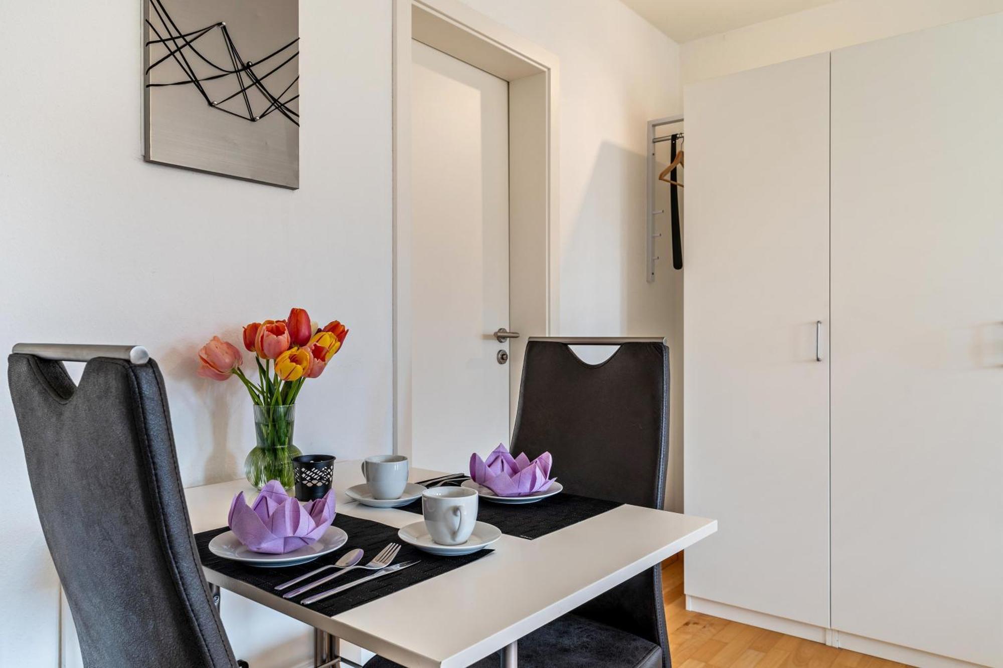 Lehen - Herr 2 Apartment Freiburg im Breisgau